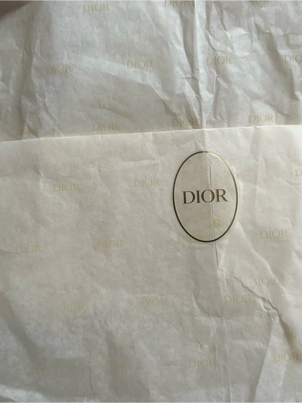 Dior Toile de Jouy Hardcover Notebook – White & Navy with Gold Logo